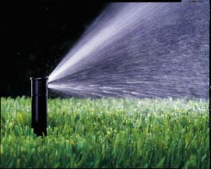 a stationary pop up sprinkler in Arlington Texas